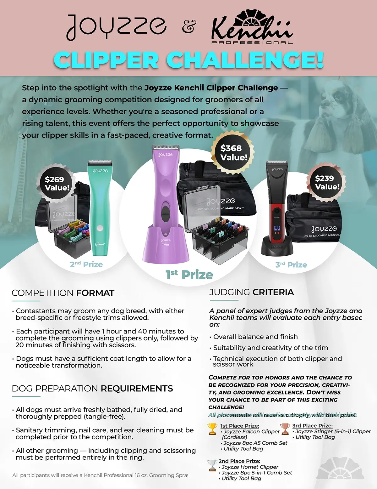 Clipper Challenge Prizes